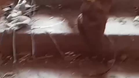 🤬 Russians looting apartments in Bakhmut, looking for the necessary furniture