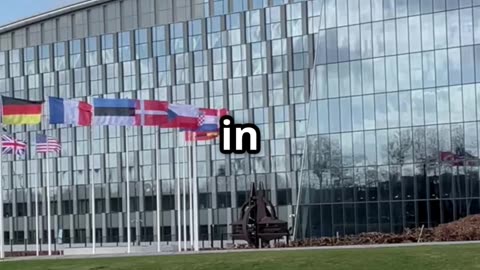 Zelenskyy, Trump & EU: Ukraine Peace Talks Amid Kyiv Strikes