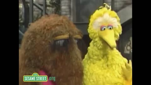 Elmo wrote a song!