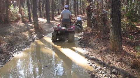 NY sabine 25/26 Stuck by beaver pond