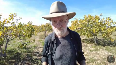 Max Igan Social Breakdown_2