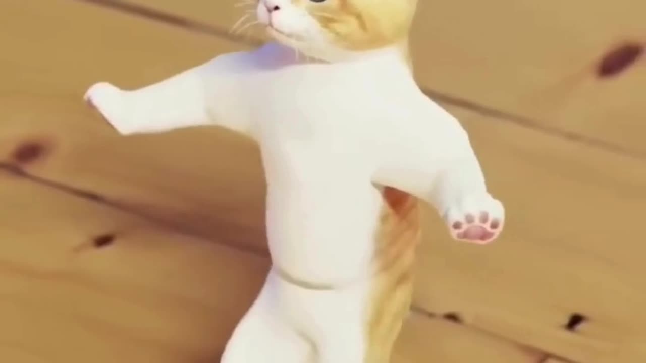 Cats vs. Gravity: The Losing Battle! 😹 #CatFails" "When Cats Forget How to Cat! 🤦♀️🐱 #TooFunny"