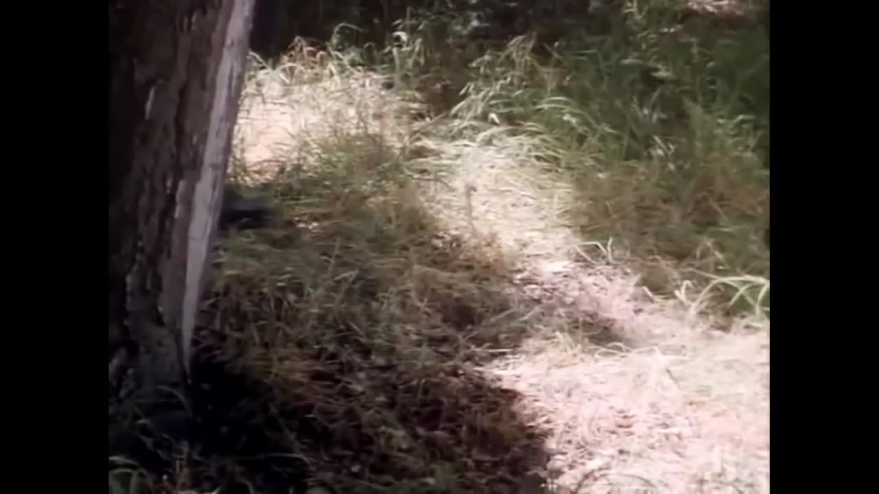 PSYCHO COP (1989) FULL MOVIE