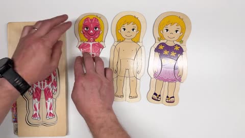 Kids Wooden Anatomy Puzzle - Montessori / Educational