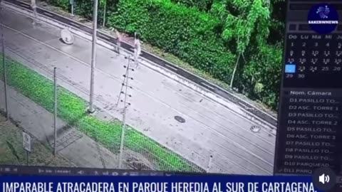 Atraco en Parque Heredia