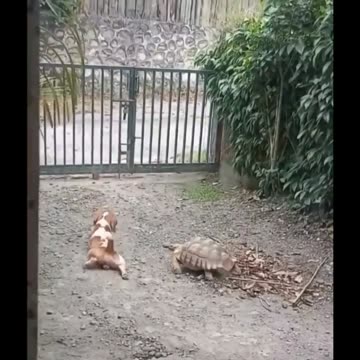 What We Do For Friends