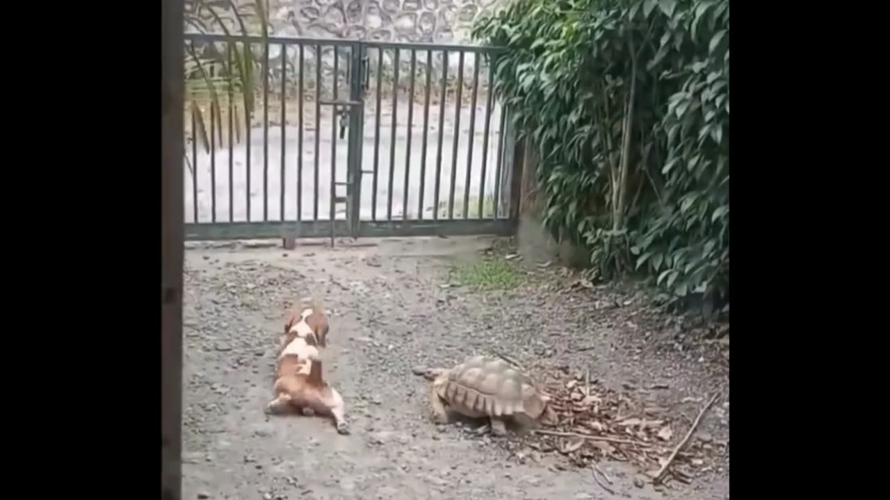 What We Do For Friends