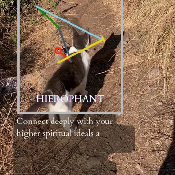 Moments Of Solitude | Path and Tarot Reading