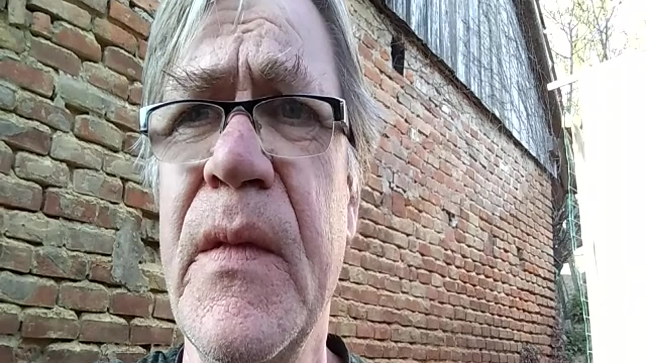 Winko z forsycji