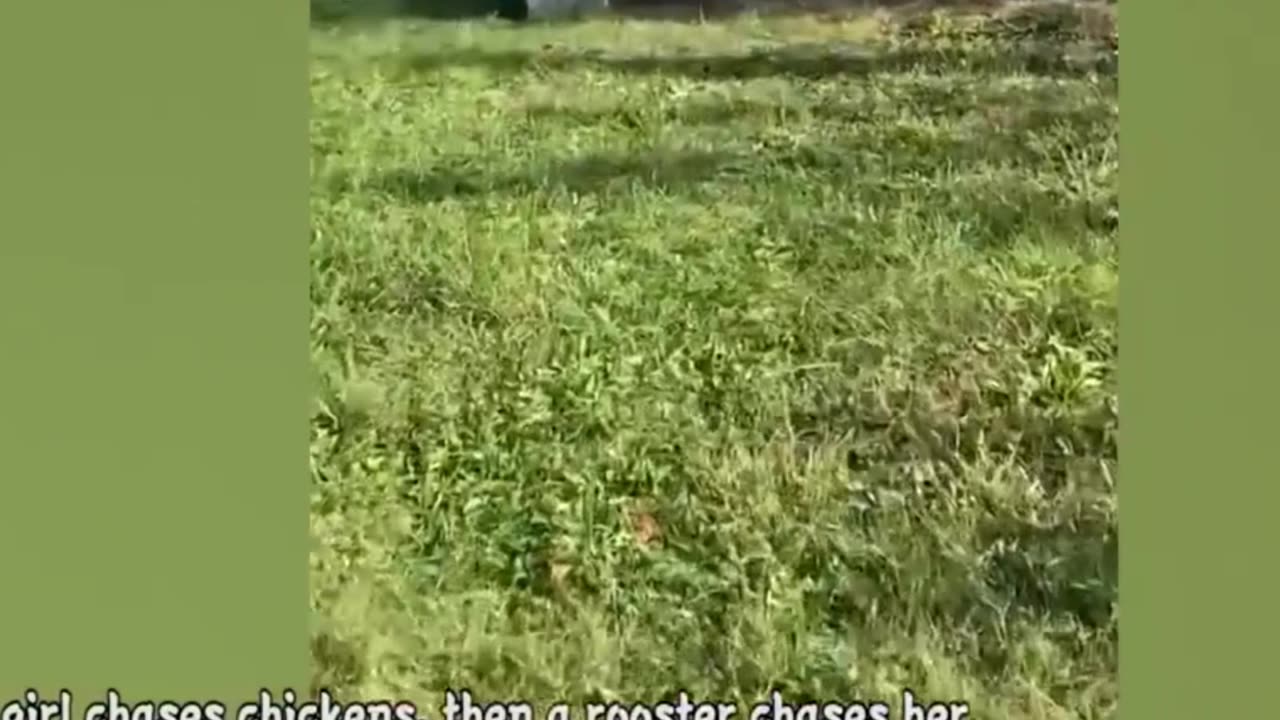 Best Funny