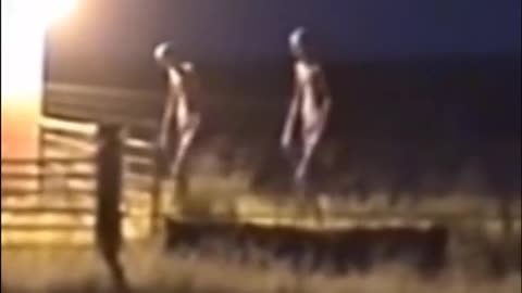 Humanoid creatures spotted in a rural area...