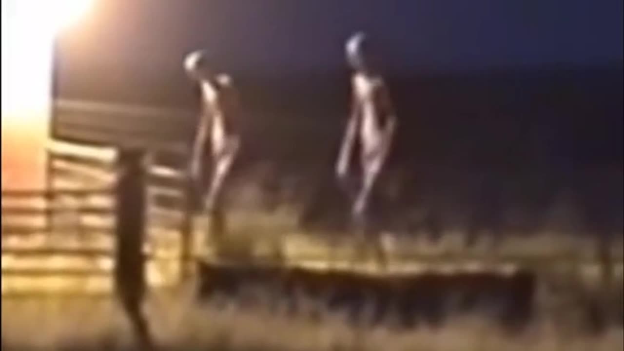 Humanoid creatures spotted in a rural area...
