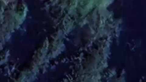 🔍 Possible Bigfoot Evidence on Google Maps