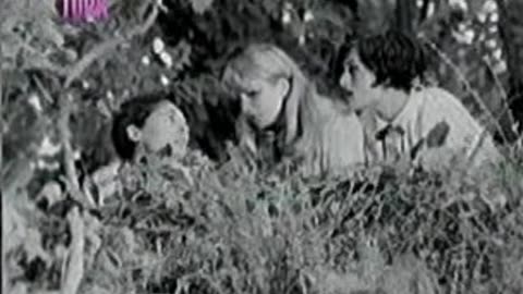 Citkirildim-1966