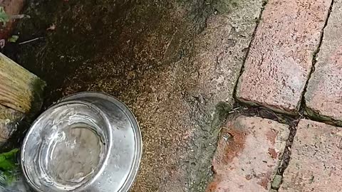 Where's the fukin water ????? Help