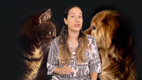 60 Facts about DOGS and CATS