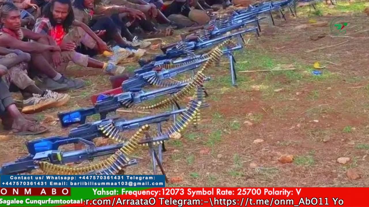 Gabaasa Tarkaanfii ONM-ABO Fulbaana 7-2025 itti dhiyaadhaa!