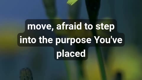 What Happens When You Trust God With Your Fears?