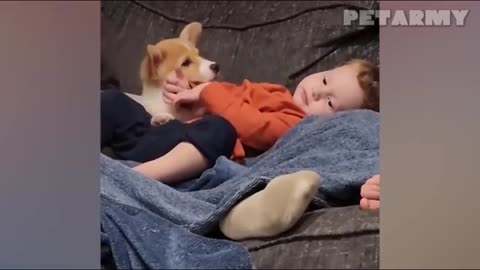 30 Minutes of Cutest Baby and Dog Friendships Ever! 🐶👶❤️