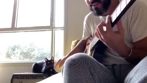 Cat Sings The Blues