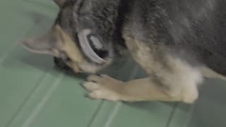 Trick Mastery?