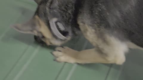 Trick Mastery?