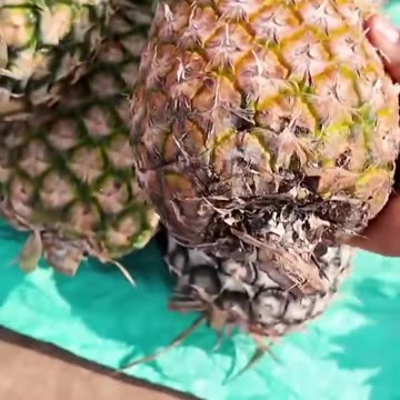 Rural village market day in Vogan Togo west