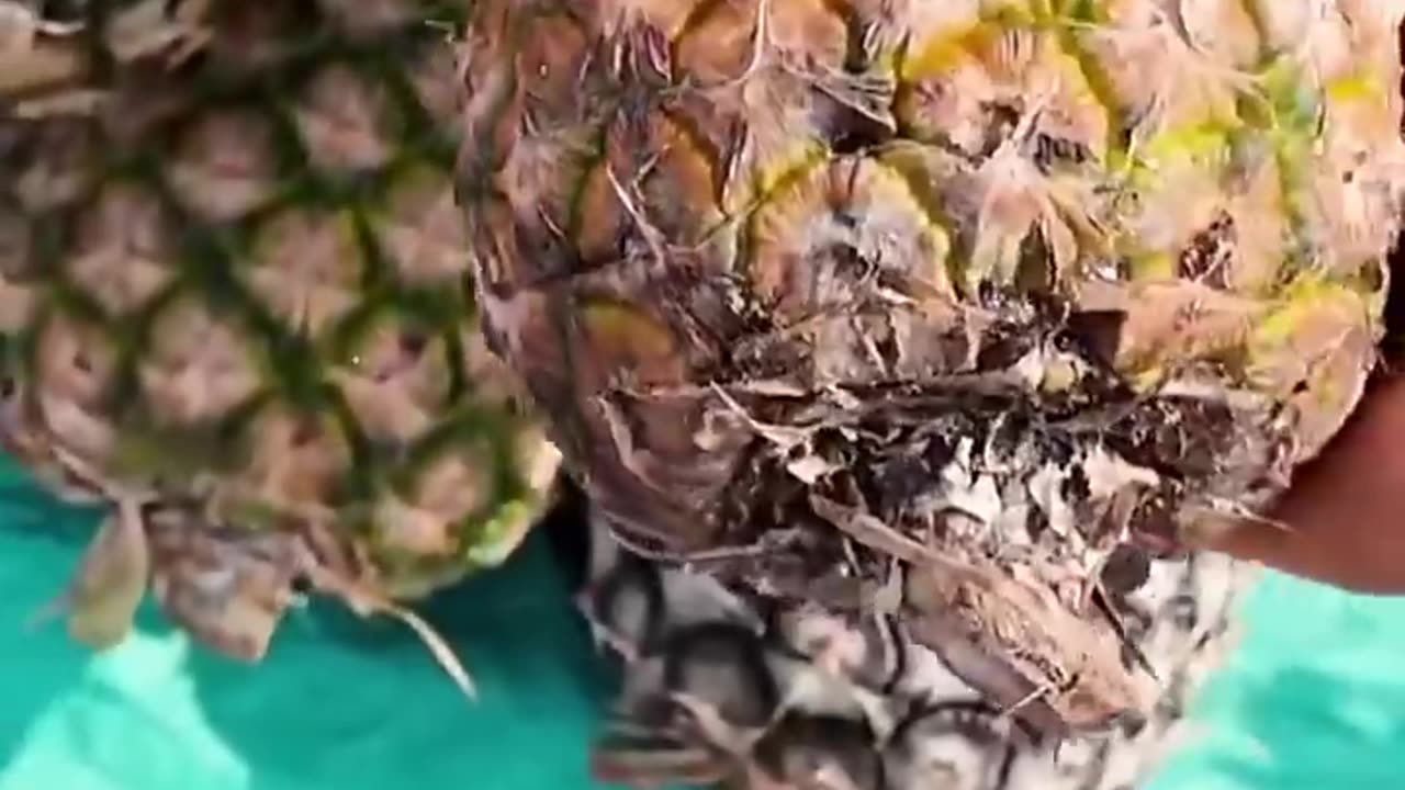 Rural village market day in Vogan Togo west