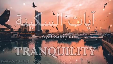 آيات السكينة لدفع القلق والهموم _ AYAT OF TRANQUILITY - SAKINAH