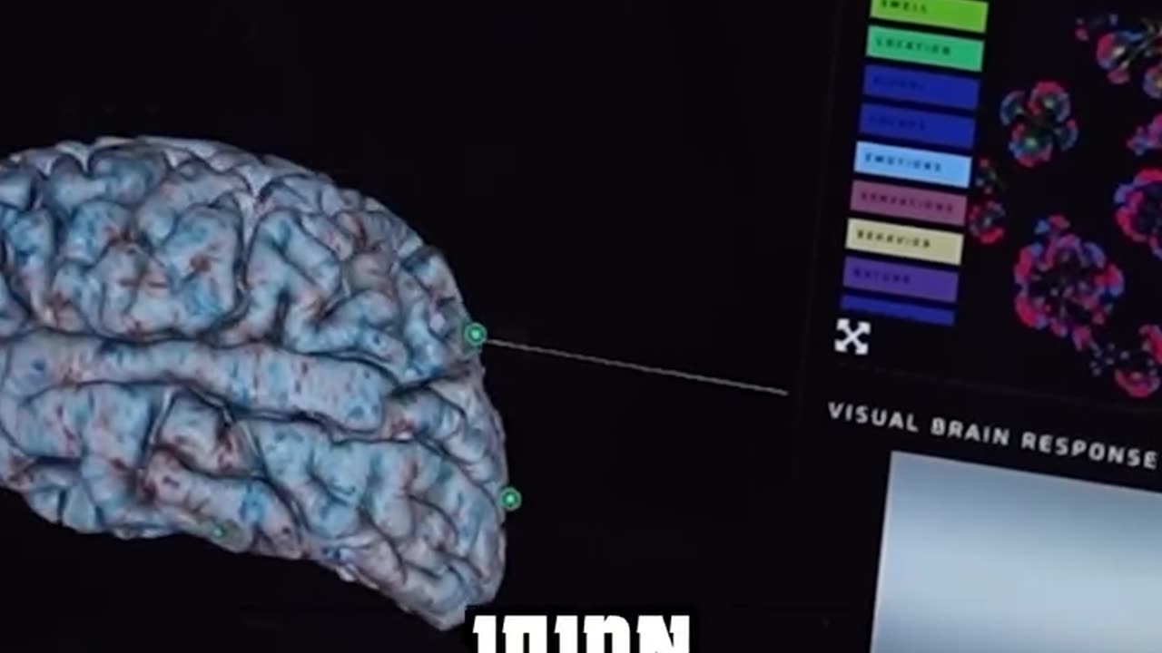 שיכפול מוח תעתיק של אייל שני