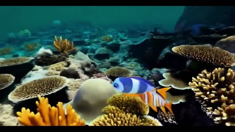 cartoon baby shark nursery rhymes