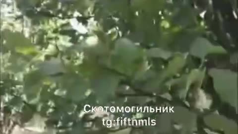 War in ukraine