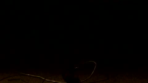 Welder fun -- 90 + amps into 9 Volt duracell