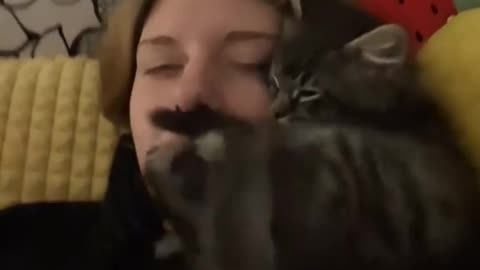 Comedy Videos 🤣 so cute videos 😍 funny dog's comedy 😂