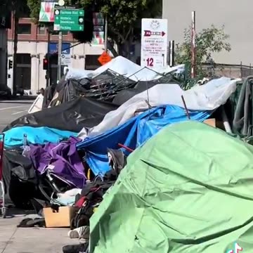 The funniest solution to homeless encampments - Baby Shark..