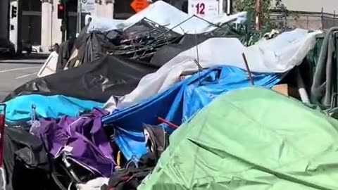 The funniest solution to homeless encampments - Baby Shark..