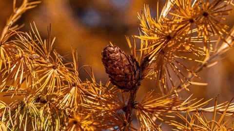 Simple Beauty A Week In Review 25 12 12