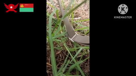 🛥️🌿 Myanmar War | DYAF and KNLA Attack Junta Boats on Dawei River | RCF