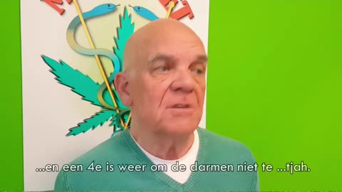 Bloedsuikerspiegel in balans met THC en CBD