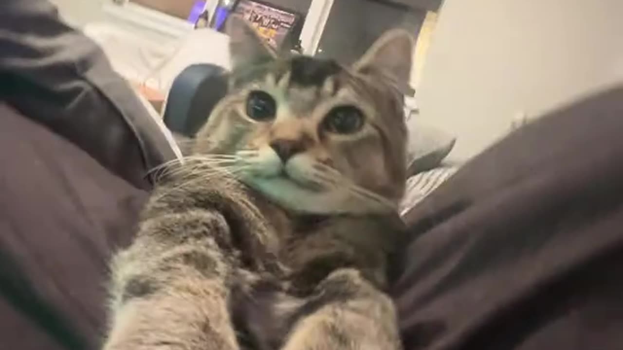 try to like [ステッカー]