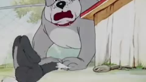 Tom and jarry funny vidieo