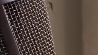🎵🎶 The Funniest Fail When Dropping a New Hit! | FunFM