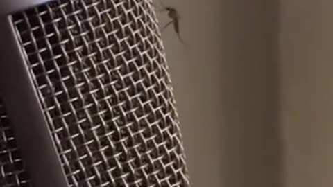 🎵🎶 The Funniest Fail When Dropping a New Hit! | FunFM