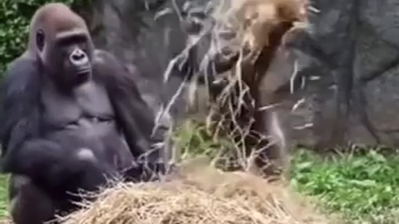 Mama's Stress