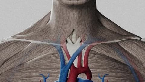 This is what sleep does to your brain and body