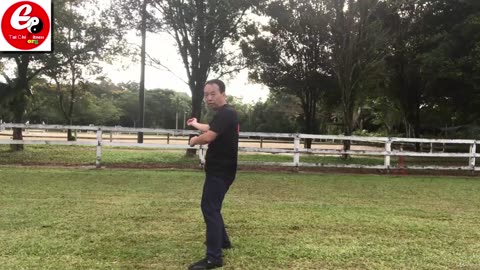 Aerobic Tai Chi Workout-033-Cover Fist and Punch VI