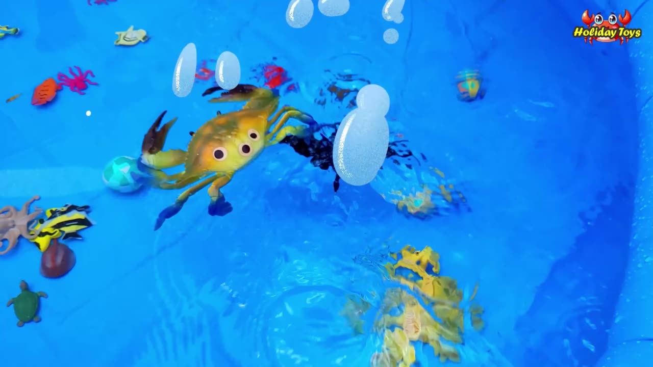 Blue Marlin Becomes the Target of Large Sharks