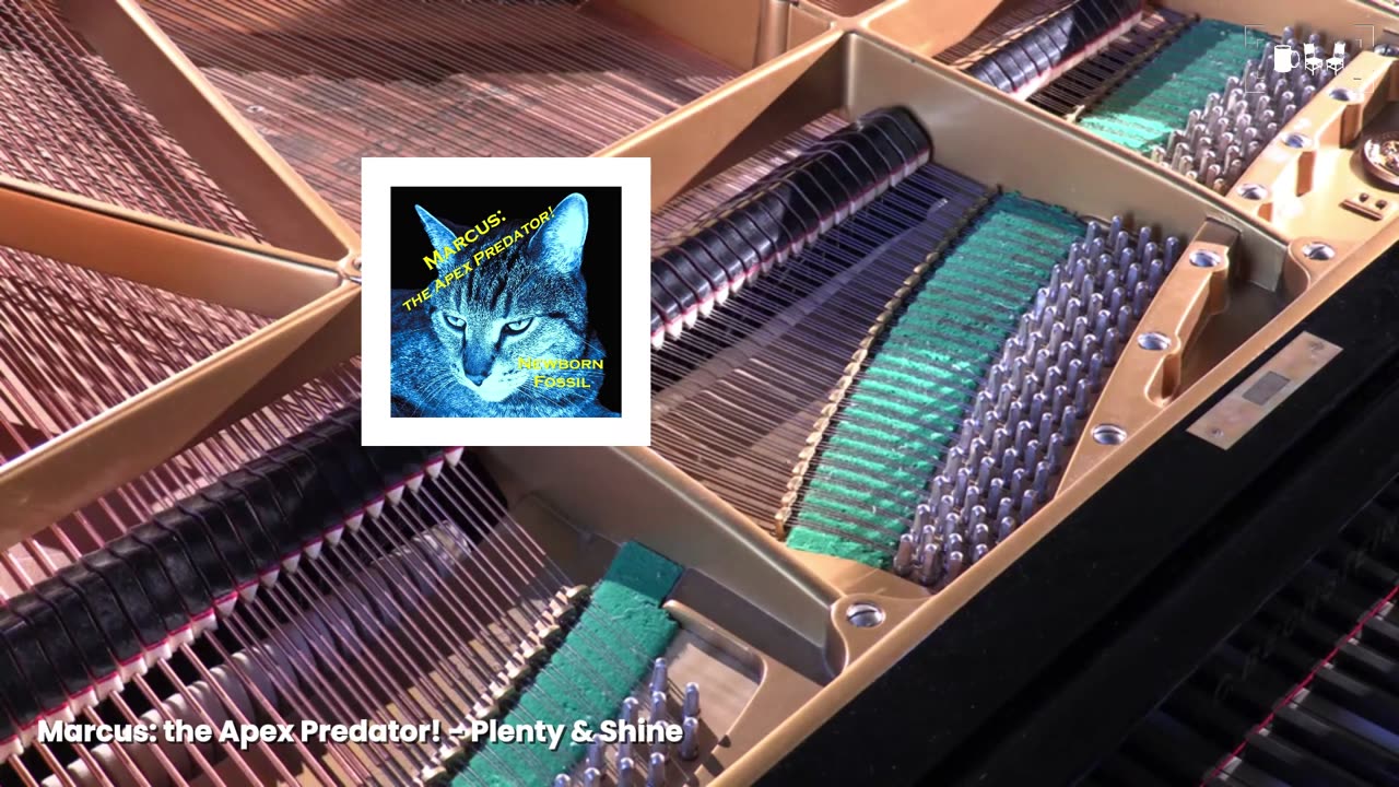 Cupchairs Discovers - 'Plenty & Shine' (by Marcus: the Apex Predator!)