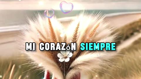 ORACIONES 😇 😶‍🌫️ 🤍 💜 🩷 ❤️ 😇 😶‍🌫️ 🤍 💜 🩷
