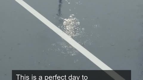 Daily Horoscope | Aquarius 🌟